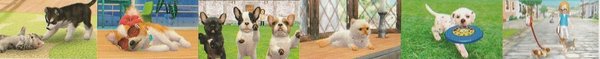Nintendogs + Cats Französische Bulldogge & Neue Freunde, Nintendo 3DS