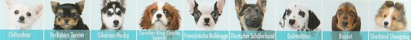 Nintendogs + Cats Französische Bulldogge & Neue Freunde, Nintendo 3DS