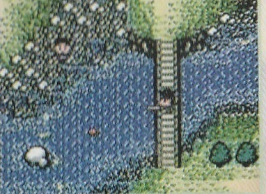 Legend of the River King, Game Boy Color