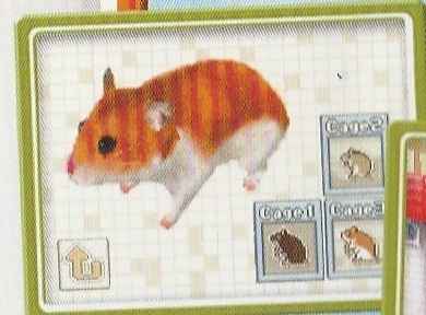 Petz, Hamsterfreunde, Nintendo DS