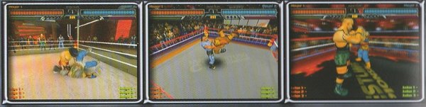 World Wrestling Championship, PS2