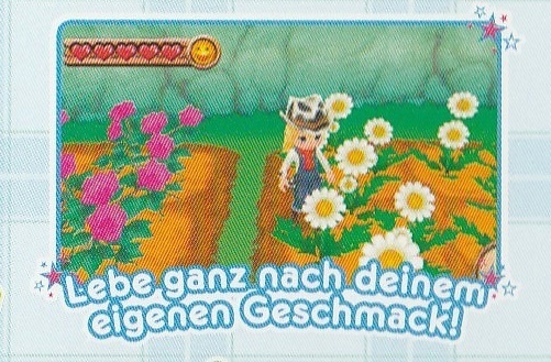 Harvest Moon 3D, A New Beginning, Nintendo 3DS
