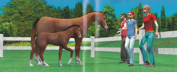 Pferd & Pony, Mein Gestüt, Nintendo DS
