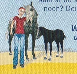 Pferd & Pony, Mein Gestüt, Nintendo DS